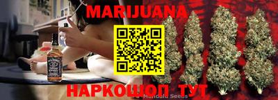 шишки Славгород
