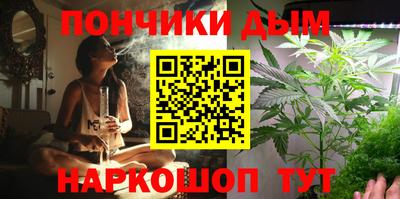 шишки Славгород
