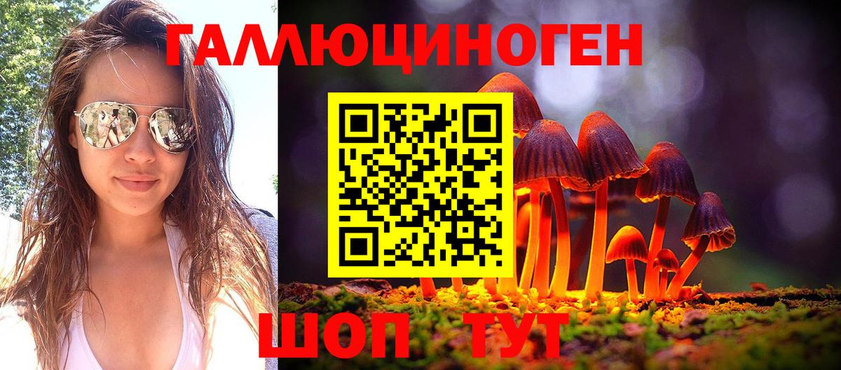 Псилоцибиновые грибы мицелий  Вход с VPN  Нижний Новгород 